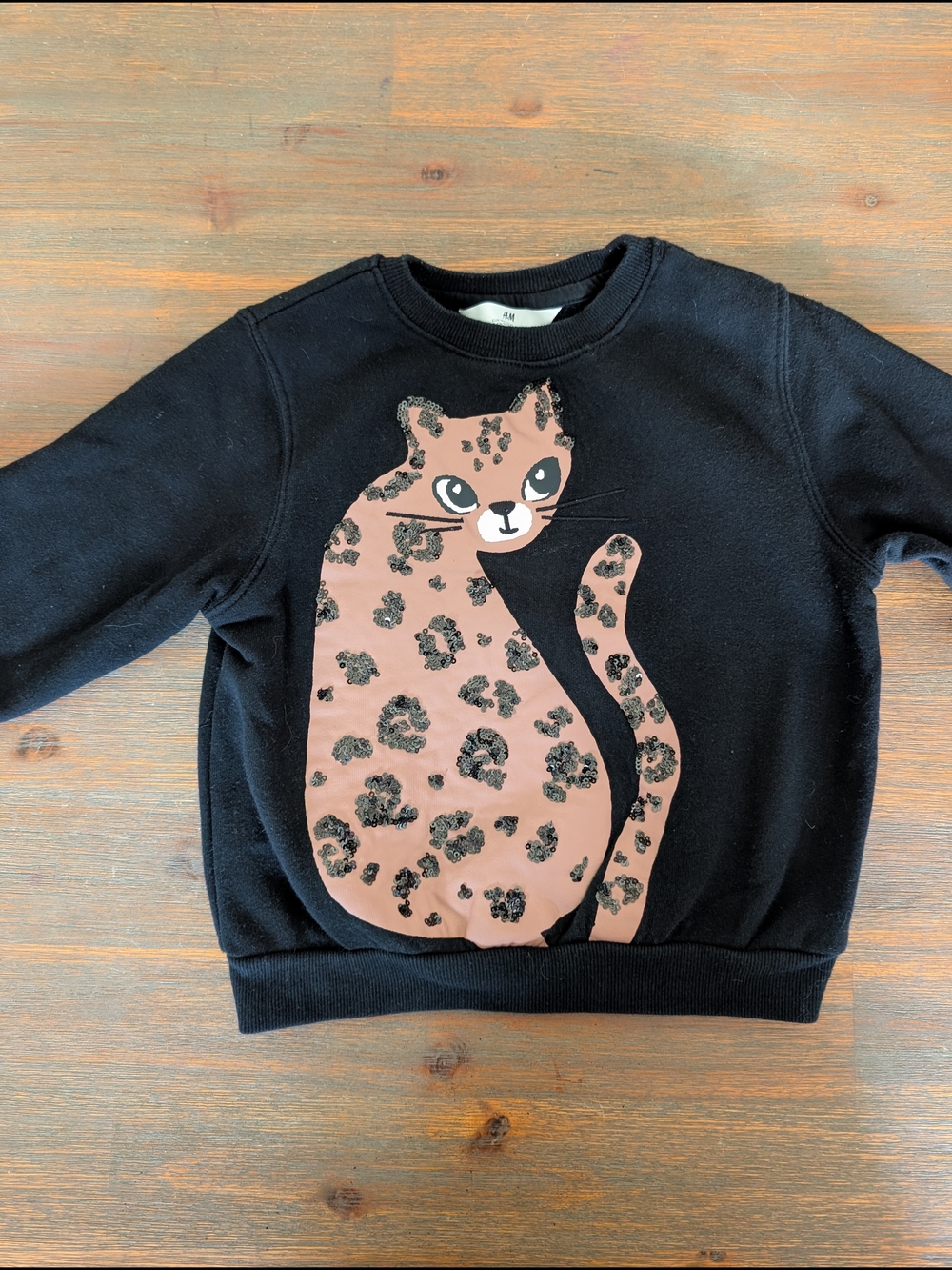 H&M Black Sweatshirt with Leopard Cat Graphic